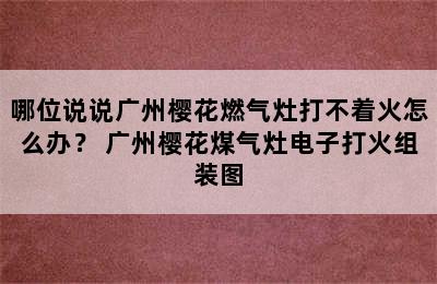 哪位说说广州樱花燃气灶打不着火怎么办？ 广州樱花煤气灶电子打火组装图